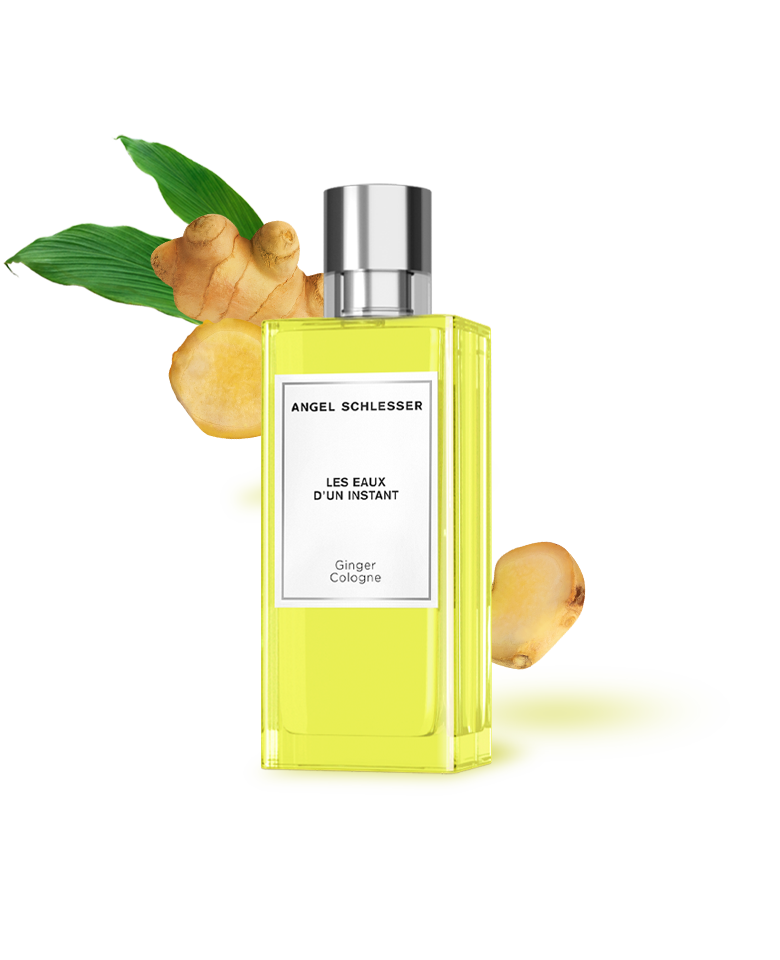 Fragrance with olfactory note ginger