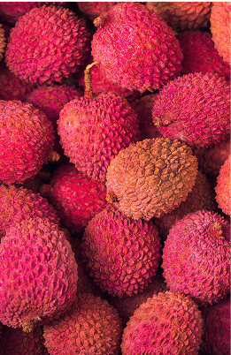 lychee olfactory note