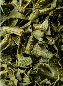tea olfactory note