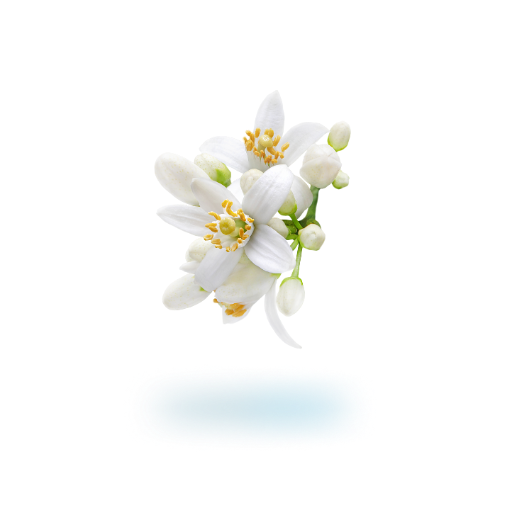 KOPFNOTE Neroli