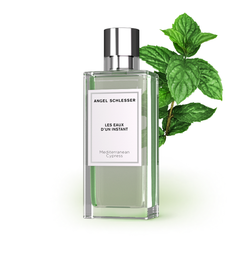Angel Schlesser Parfums boccetta Mediterranean cypress con foglia di menta