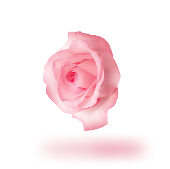Angel Schlesser Parfums Fiore di Rosa