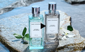 matcha infusion and tea of the night