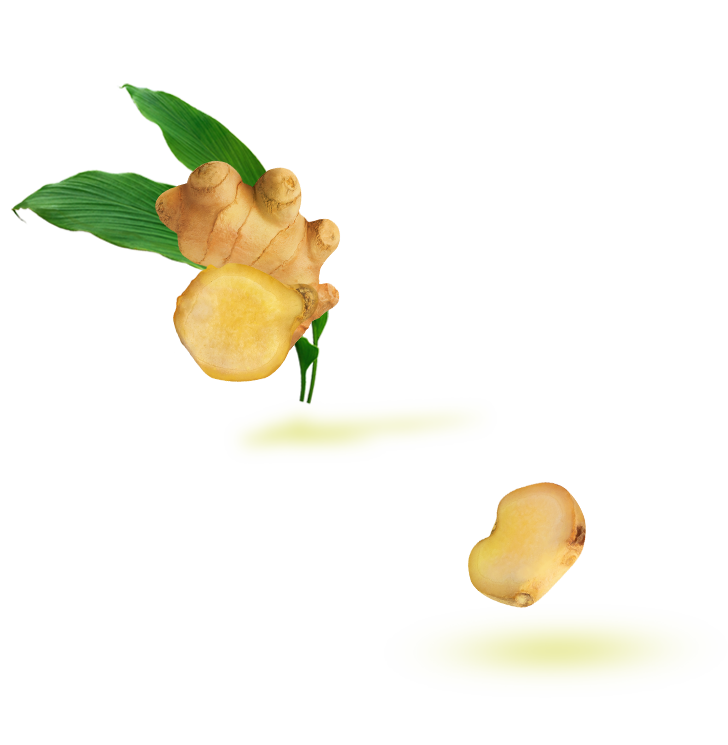 olfactory note ginger
