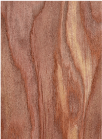 legno di cedro nota olfattiva