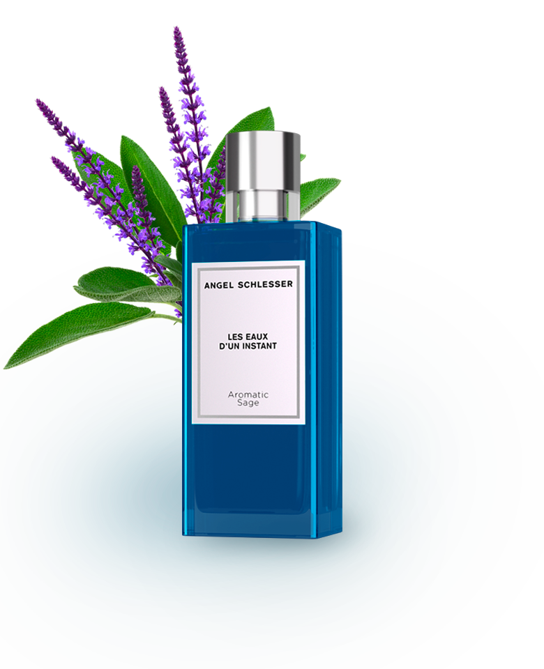 flacone aromatic sage LEDI con nota olfattiva